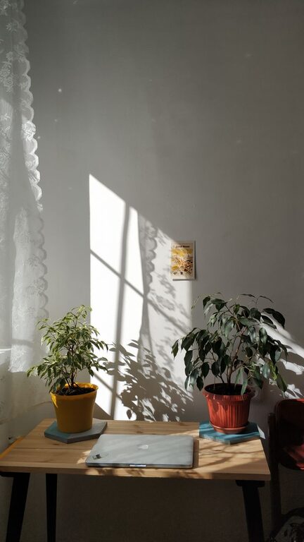 Tips for Creating a Cozy and Productive Home Office Space
